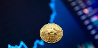 Bitcoin Whale Change Transfers Spike As Capital Rotation Begins — Newest Altseason Sign?