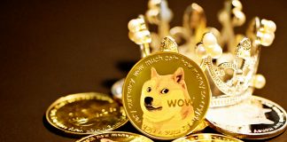 DOGE Bullish Sample Factors To $0.42 Goal – Analyst