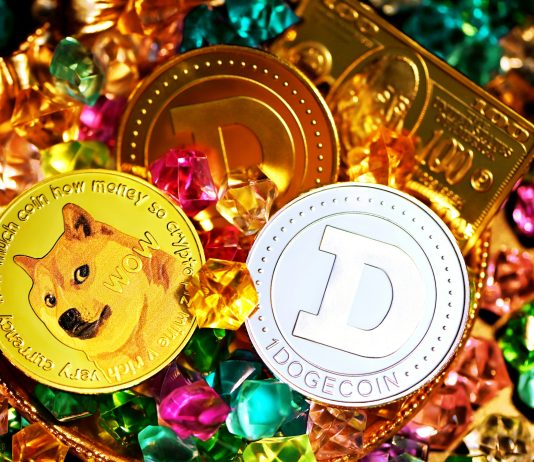 Dogecoin Whale Bets $21 Million After $2.14M Revenue – What’s Going On?