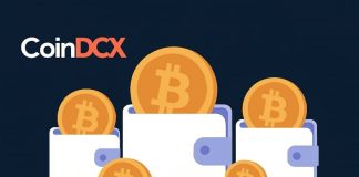 Indian Crypto Change CoinDCX Suffers $42M Hack: Why Self-Custody with Greatest Pockets Is Extra Essential Than Ever