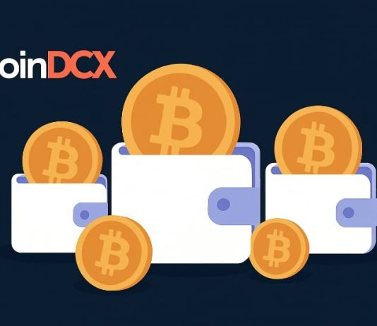 Indian Crypto Change CoinDCX Suffers $42M Hack: Why Self-Custody with Greatest Pockets Is Extra Essential Than Ever Indian Crypto Change CoinDCX Suffers $42M Hack: Why Self-Custody with Greatest Pockets Is Extra Essential Than Ever