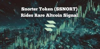 Uncommon Altcoin Sign Sparks Hype – However Snorter Token Is the Solely Sign You’ll Want