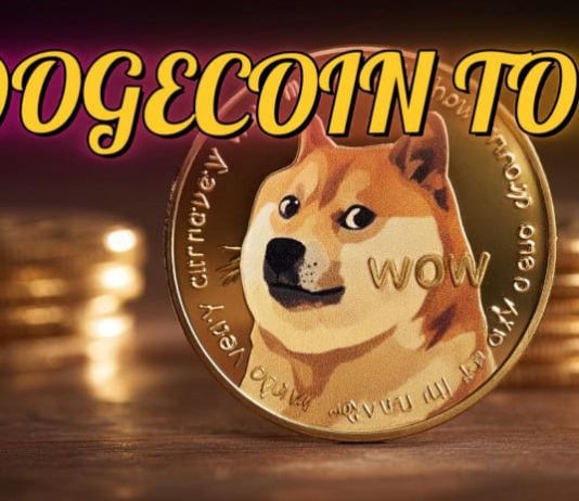 Whales in Frenzy Over $1 Dogecoin Goal because the TOKEN6900 Presale Raises $830Ok