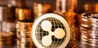 The XRP Euphoria Section: Why August–October 2025 Might Be Explosive
