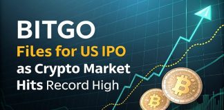 BitGo Information for US IPO as Crypto Market Hits File Excessive BitGo Information for US IPO as Crypto Market Hits File Excessive