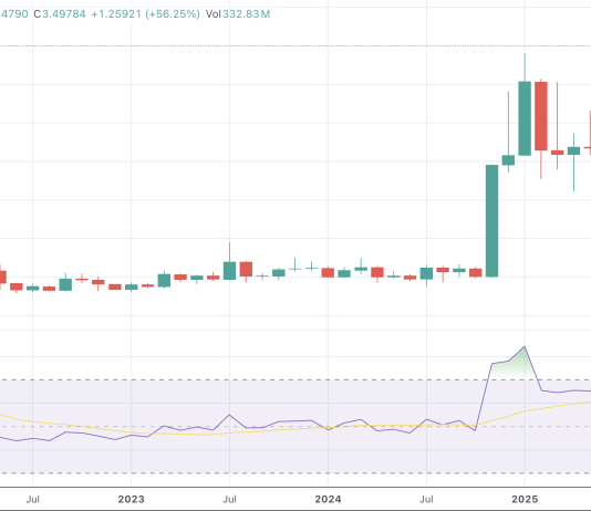 Analyst Says XRP Traders Are Getting Ripped Off — Right here’s Why