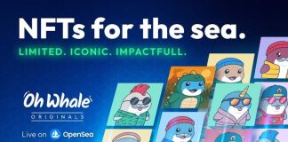 Oh Whale Launches NFT Assortment to Fund Ocean Safety and It’s Simply the Starting