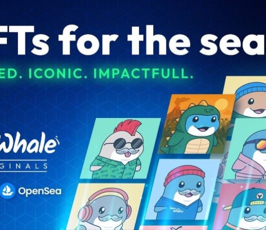 Oh Whale Launches NFT Assortment to Fund Ocean Safety and It’s Simply the Starting Oh Whale Launches NFT Assortment to Fund Ocean Safety and It’s Simply the Starting