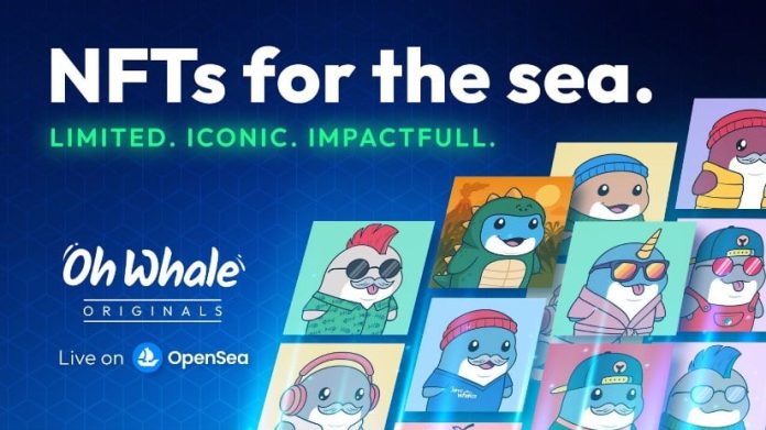Oh Whale Launches NFT Assortment to Fund Ocean Safety and It’s Simply the Starting