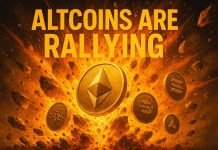 XRP Pushes In the direction of a $6 ATH within the Upcoming Altcoin Season, as Initiatives Like SUBBD Token Stand to Acquire the Most