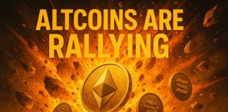 XRP Pushes In the direction of a $6 ATH within the Upcoming Altcoin Season, as Initiatives Like SUBBD Token Stand to Acquire the Most
