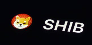 Analyst Predicts Explosive 126% Shiba Inu Rally After SHIB Surpasses Litecoin Market Cap