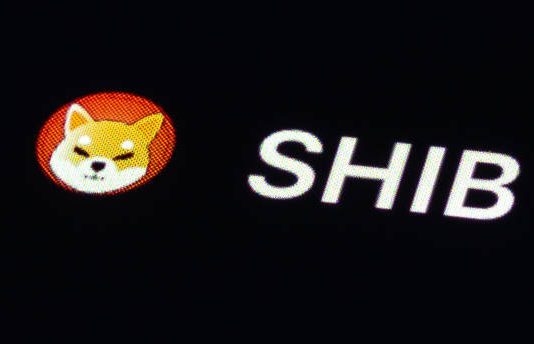 Analyst Predicts Explosive 126% Shiba Inu Rally After SHIB Surpasses Litecoin Market Cap