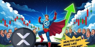 XRP Value Prediction: XRP Bounces Again After 10% Drop, Charts Trace at $3.55 Retest within the Quick Time period