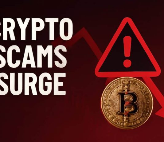 Crypto Growth, Scammer Doom: Earlier than New Highs Result in New Lows, Defend Your self with Greatest Pockets Crypto Growth, Scammer Doom: Earlier than New Highs Result in New Lows, Defend Your self with Greatest Pockets