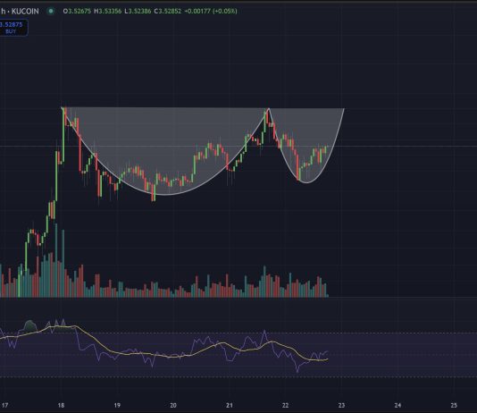Cup And Saucer Sample Says XRP Value Rally Is Not Finished