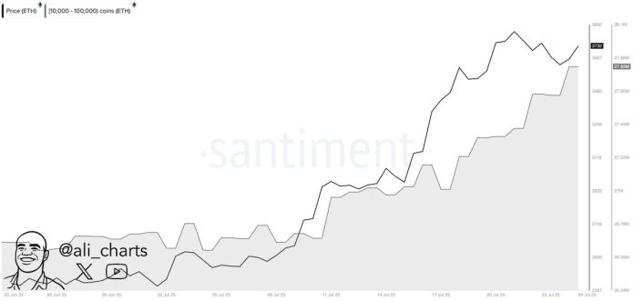 Ethereum Whales Accumulate Over $4.1B In ETH In Two Weeks – Particulars