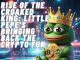 Rise of the Croaked King: How Little Pepe Is Bringing Again the Enjoyable Rise of the Croaked King: How Little Pepe Is Bringing Again the Enjoyable