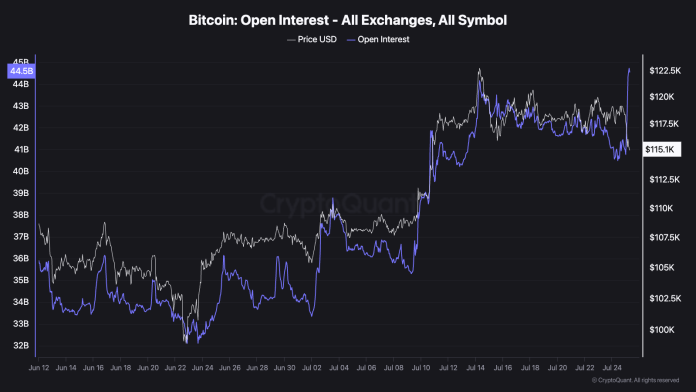 Bitcoin Open Curiosity Units New Document As Value Plunges To $115,000
