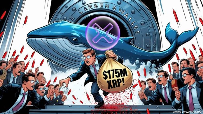 XRP Information At the moment: XRP Worth Reacts to $175 Million Switch From Ripple Co-Founder Chris Larsen’s Pockets—What’s Subsequent?