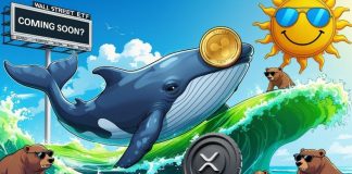 XRP Information Immediately: XRP Targets $3.82 With Over $130M Recent Whale Accumulation and ETF Momentum XRP Information Immediately: XRP Targets $3.82 With Over $130M Recent Whale Accumulation and ETF Momentum