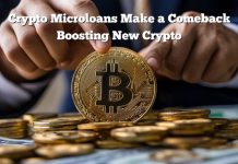 Microloans Make a Comeback Below Trump – Three New Crypto Tasks Set to Profit