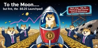 Dogecoin (DOGE) Value Prediction: Dogecoin Reclaims $0.25 as Good Cash Hundreds Up—September Rally Incoming? Dogecoin (DOGE) Value Prediction: Dogecoin Reclaims $0.25 as Good Cash Hundreds Up—September Rally Incoming?