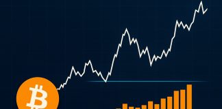 Bitcoin Demand Builds at $117Okay: Price Foundation Distribution Defines Key Help Stage