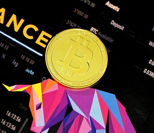 Bitcoin Rejected At $120,000: Binance Whale Inflows Counsel Potential Drop To $110,000