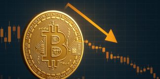 Bitcoin Lengthy-Time period Holders Start Distribution: Mirroring Fall 2024 Cycle