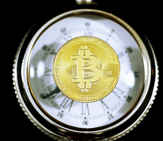 Bitcoin Sees Rising New Investor Dominance, Previous Holders But To Capitulate