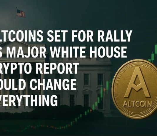 Altcoins Set for Rally as Main White Home Crypto Report Might Change Every thing