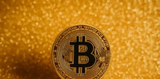 Crypto-Backed Loans Achieve Floor: What Owners Must Know in 2025 Crypto-Backed Loans Achieve Floor: What Owners Must Know in 2025