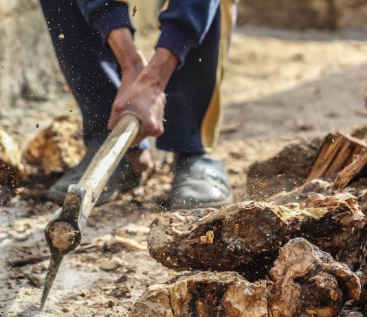 Extra Work, Much less Reward: Bitcoin Mining Toughens As Worth Sinks To $113Okay