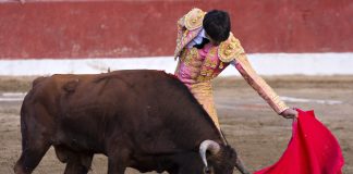 Bitcoin Analyst Builds BTC’s Bullish Case After Binance Quantity Spike, Fed Liquidity Surge