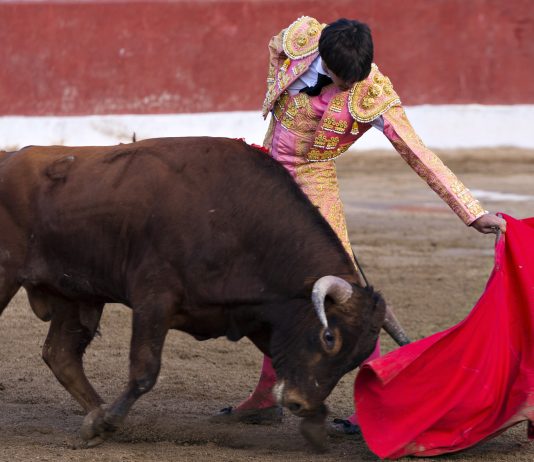 Bitcoin Analyst Builds BTC’s Bullish Case After Binance Quantity Spike, Fed Liquidity Surge Bitcoin Analyst Builds BTC’s Bullish Case After Binance Quantity Spike, Fed Liquidity Surge