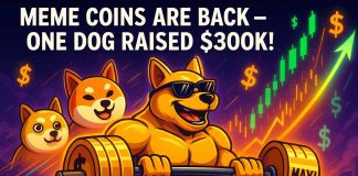 Doge Meme Cash Acquire $1B in a Day: Traders Frenzy for Maxi Doge