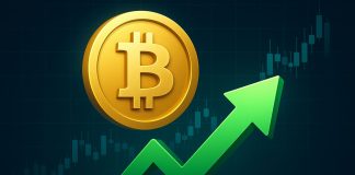 Bitcoin Demand Holds Robust Regardless of Value Drop: Accumulation Development Stays Intact