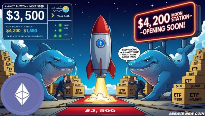Ethereum (ETH) Worth Prediction: Ethereum Consolidates Above $3,500 as Mega Whales Accumulate with $4,200 in Sight
