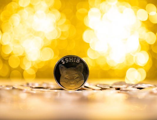 Shiba Inu’s Shibarium Is Extra Than A Layer 2, Skilled Reveals What It Is