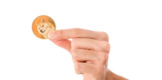 Dogecoin Value Crash Might Finish Quickly With A Roadmap For $5