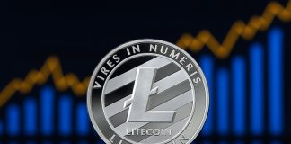 Litecoin Emerges as a High Institutional Choose in Crypto’s Subsequent Development Cycle