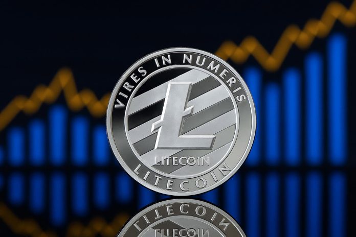 Litecoin Emerges as a High Institutional Choose in Crypto’s Subsequent Development Cycle