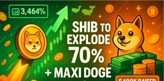 Analyst Predicts 70% SHIB Surge as Maxi Doge Presale Hits $470Ok