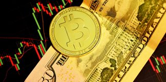 Bitcoin Is Nonetheless King Of Capital Inflows, In accordance To Michael Saylor