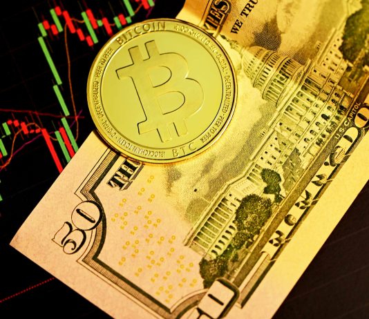 Bitcoin Is Nonetheless King Of Capital Inflows, In accordance To Michael Saylor