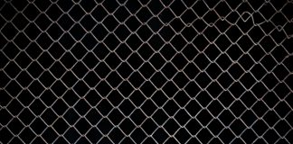 Chainlink Whales Scoop Up $150 Million LINK In Two Weeks – Extra Features Forward?