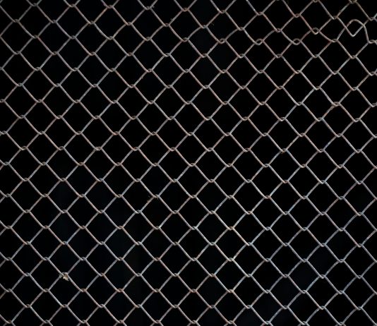 Chainlink Whales Scoop Up $150 Million LINK In Two Weeks – Extra Features Forward?