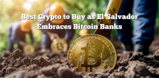 Finest Crypto to Purchase as El Salvador Opens the Door to Bitcoin Banks
