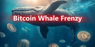 Bitcoin Season is Right here as Whale Frenzy Pushes the Variety of Wallets with Over 100 $BTC to 18,996